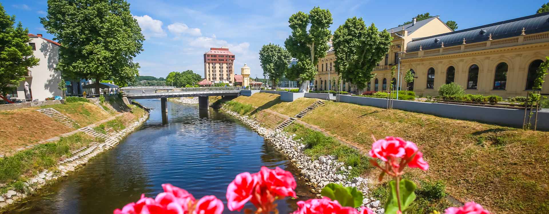 Škola šaha Vukovar | Royal Chess Coaching Academy